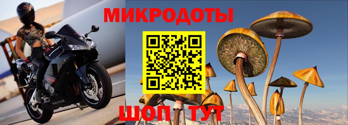 Псилоцибиновые грибы мухоморы Городец